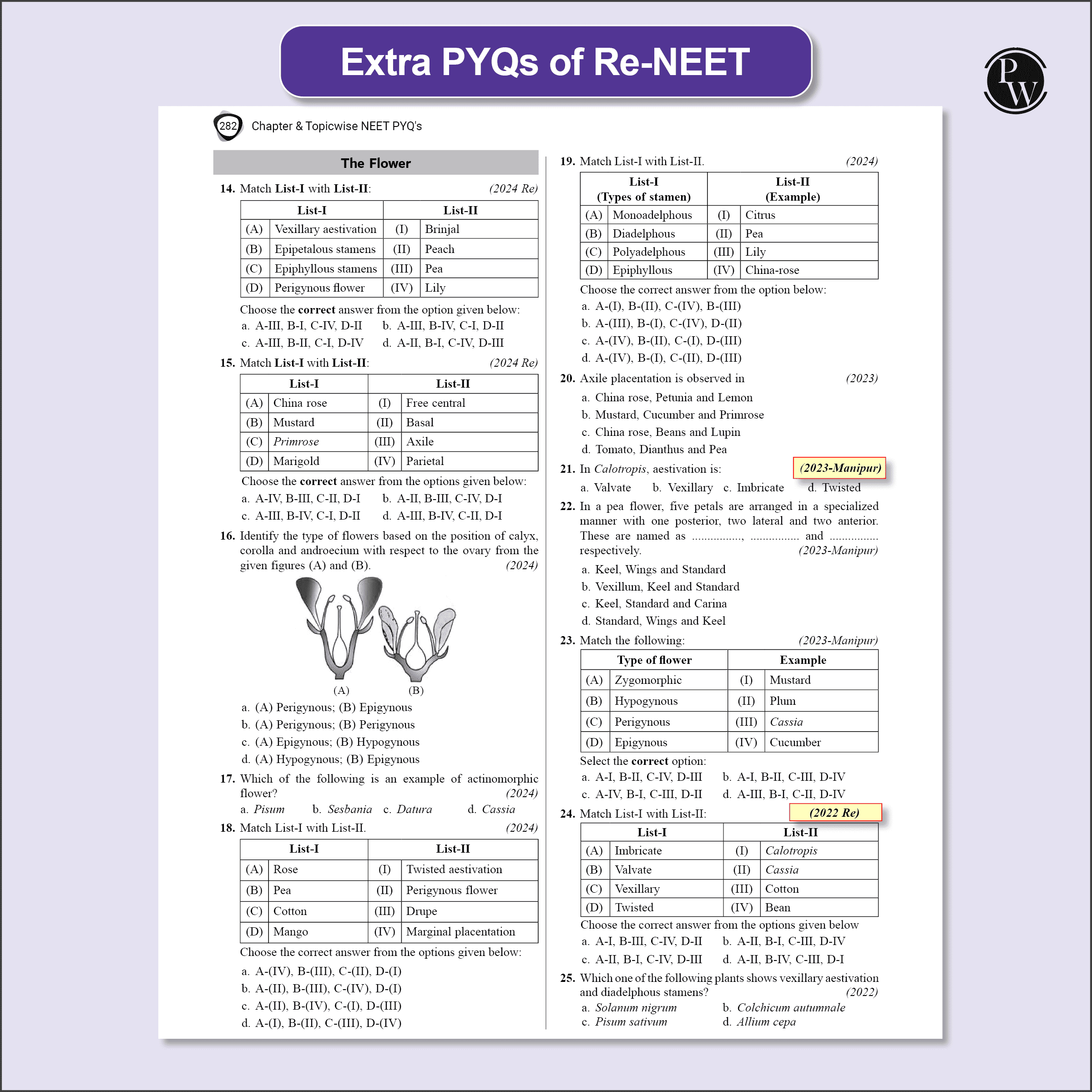 NEET 13 Years PYQs (2025-2013) Chapterwise & Topicwise Solved Papers | Past Year Questions with Detailed Solutions | Extra PYQs of Re-NEET & New Essentials