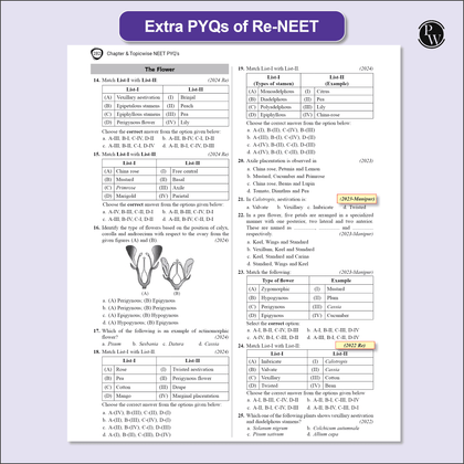 NEET 13 years PYQs