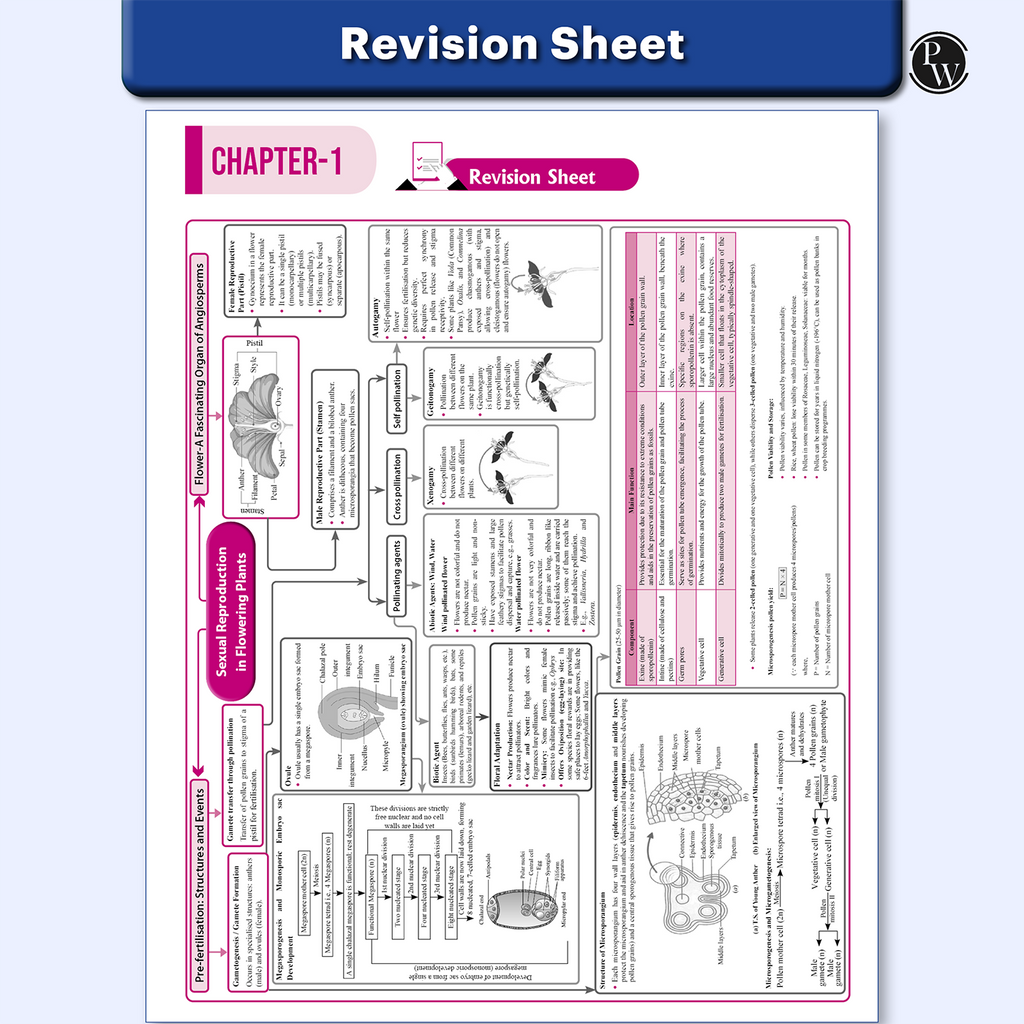 CUET (UG) Biology Chapterwise & Topicwise Question Bank for 2026 Exam | Theory & Exercise with Past Year Questions (2025-2022) PYQ and Mock Tests