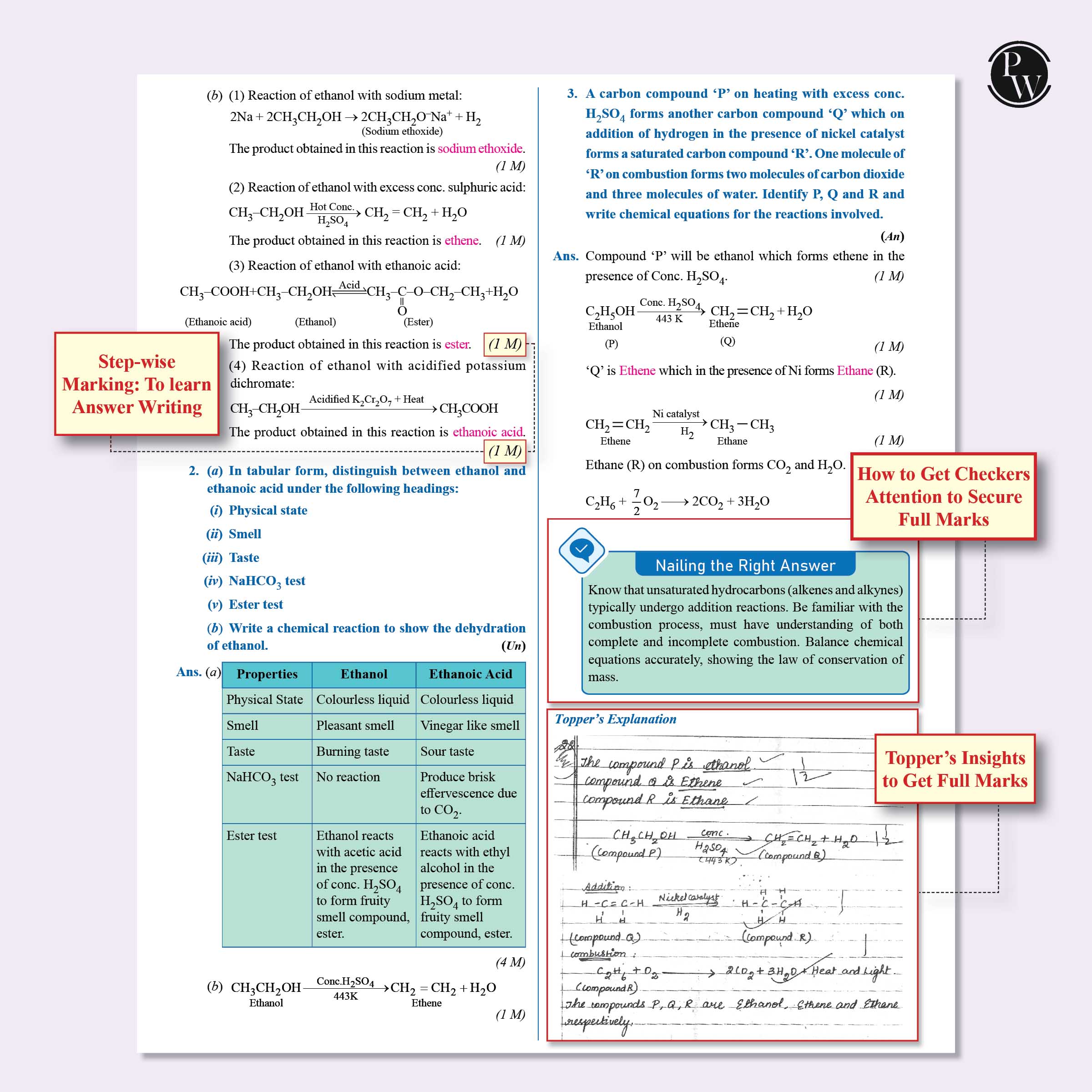 CBSE Question & Concept Bank (QCB) Class 10 Maths (Basic), Science, Social Science, Eng, Hindi-B Combo Set of 5 Books Chapterwise & Topicwise Solved Questions For 2026 Exams