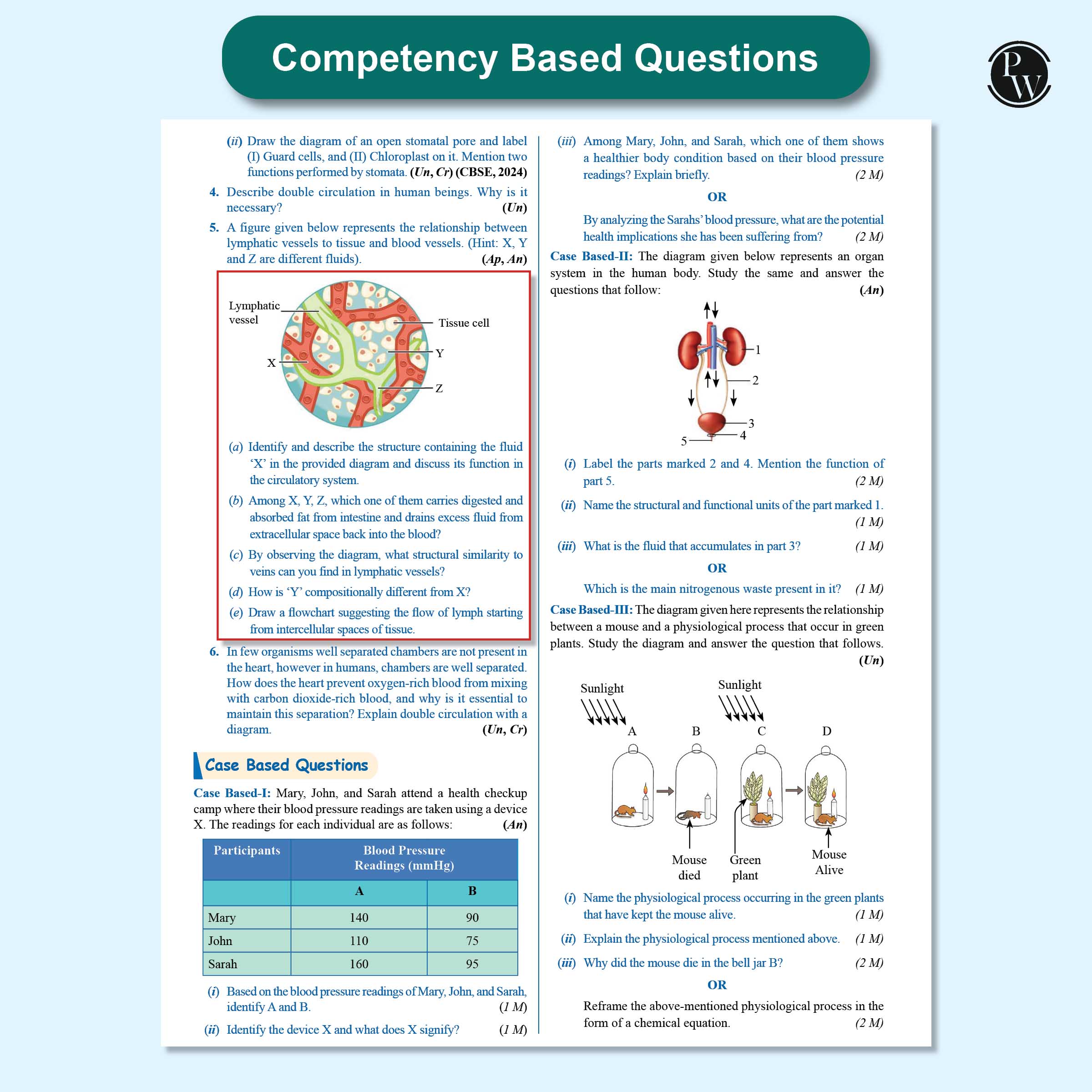 CBSE Question & Concept Bank (QCB) Class 10 Science and Mathematics (Standard) Combo Set of 2 Books Chapterwise & Topicwise Solved Questions For 2026 Exams