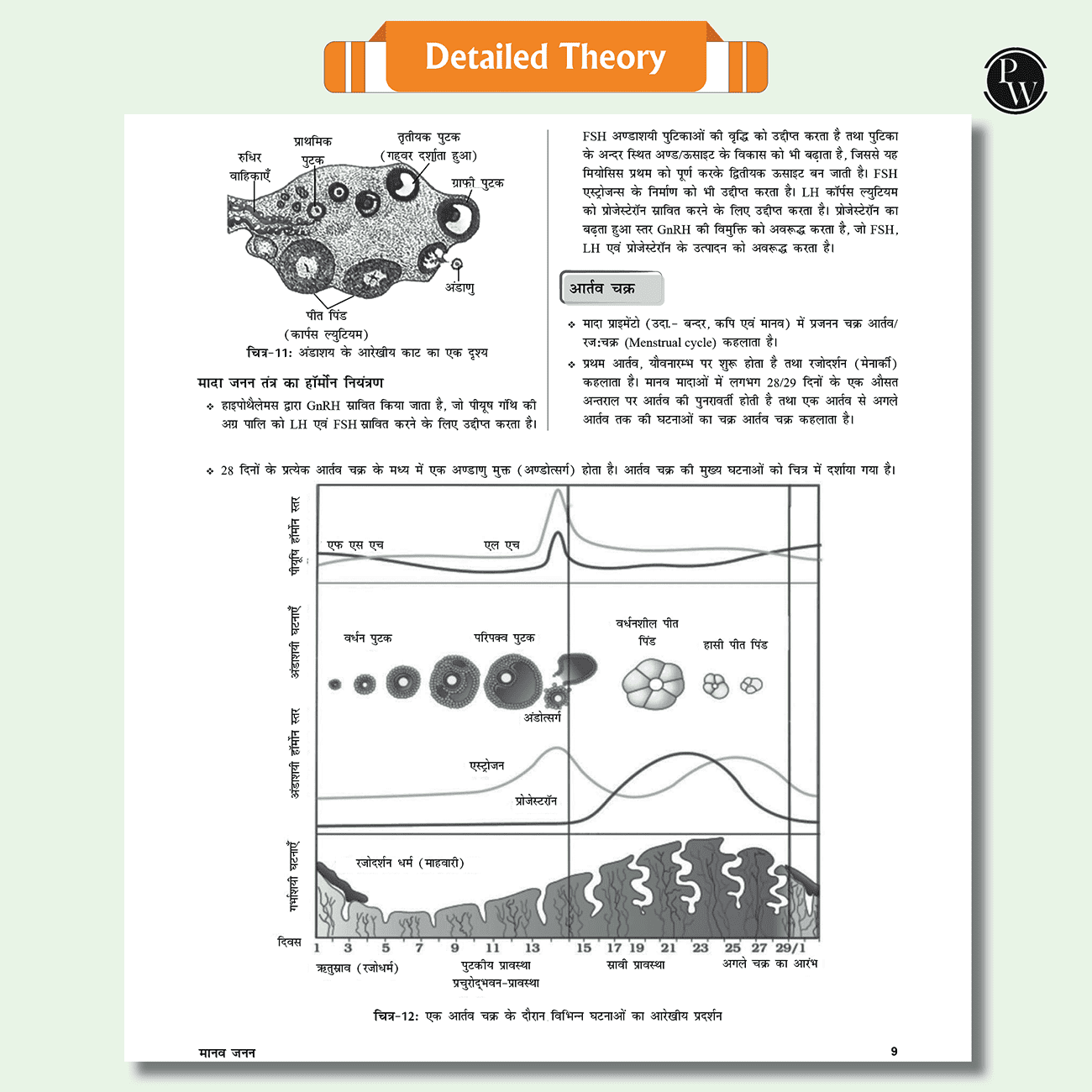 Lakshya For NEET Hindi Edition Class 12 Physics, Chemistry, Botany and Zoology Modules with Solutions & 30 OMR Sheets Combo Set of 13 Books (2025 Edition).