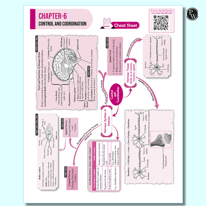CBSE class 10th  Sample papers