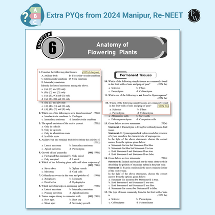 NEET 38 Year 2025