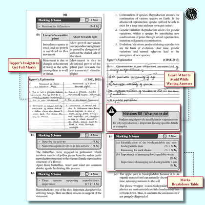 CBSE class 10th  Sample papers
