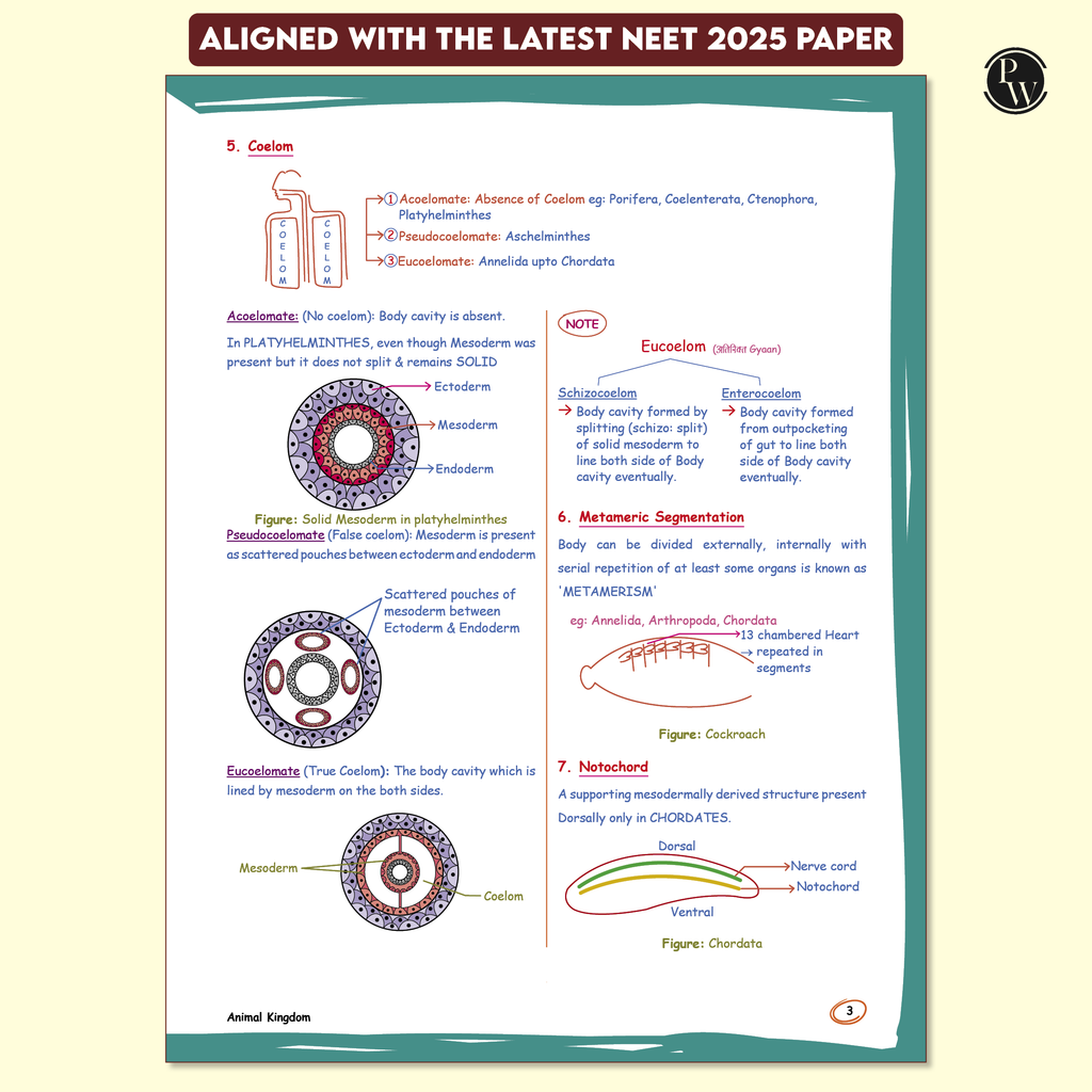 Zoology Med Easy 2.0 For NEET and Board Exams 2025-26 | Flowcharts, Schematic Diagrams l Samapti Sinha Mahapatra Handwritten Notes