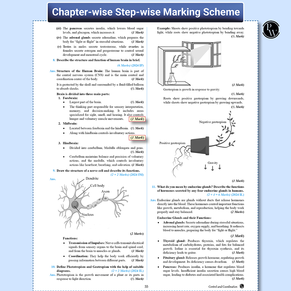 UP Board Phod Class 10 Science Question Bank Chapterwise with 13 Mind Maps and PYQs For 2026 Board Exam | 100 Most Probable Questions and Model Papers with OMR Sheet