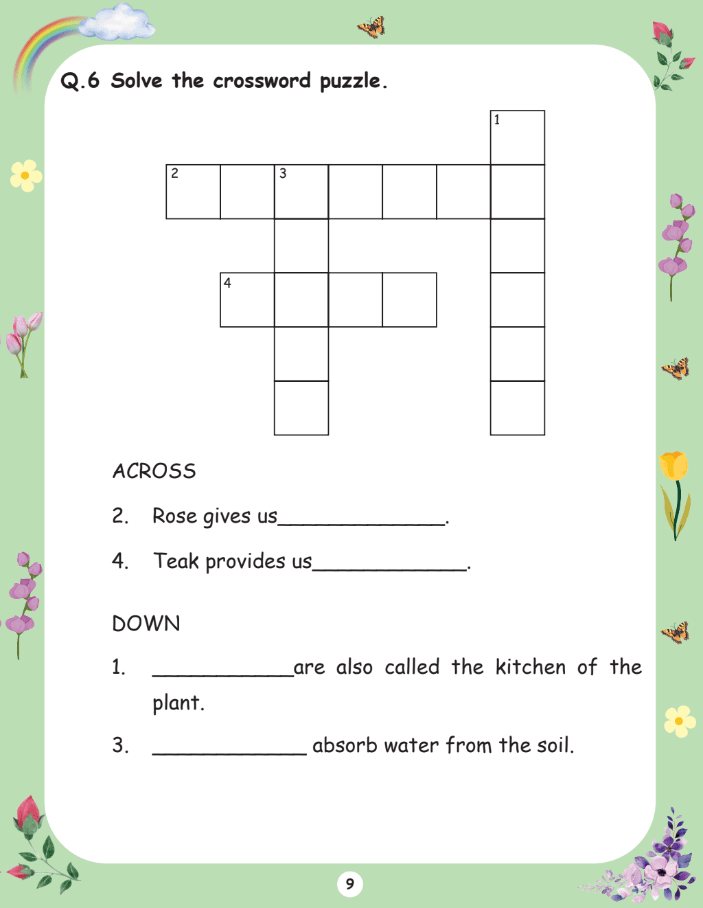Bloom class 2nd