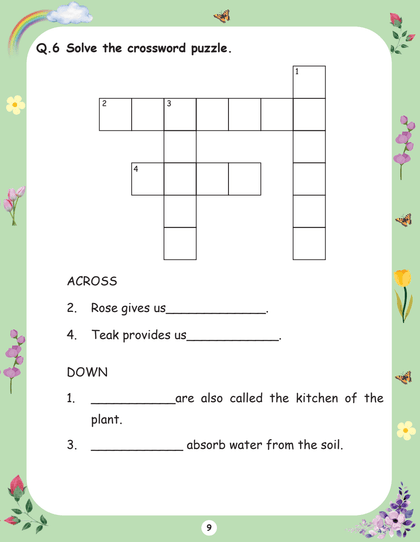 Bloom class 2nd