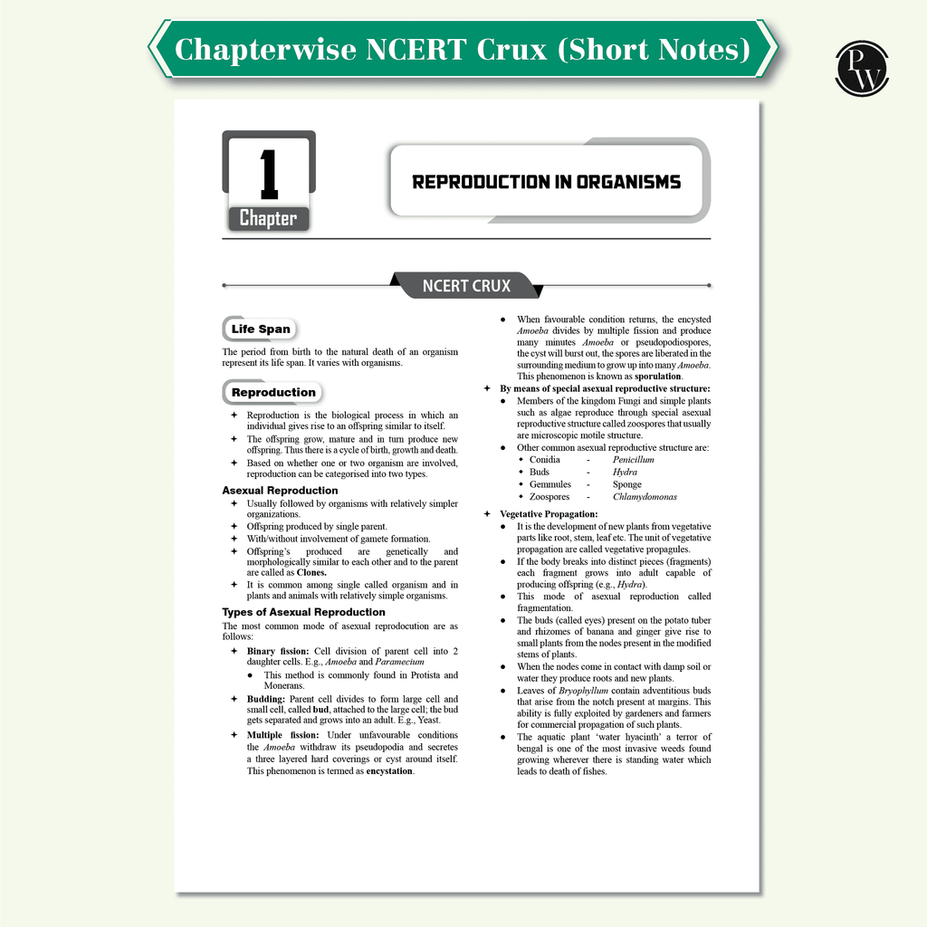 CUET 2025 Edition
