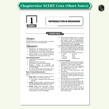 CUET 2025 Edition
