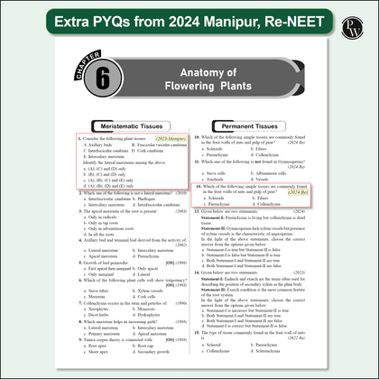 NEET 38 Year 2025