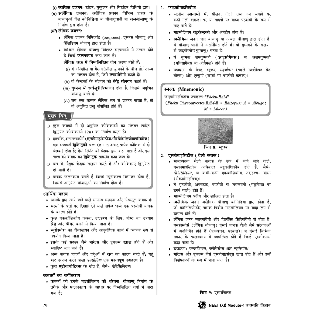 Arjuna For NEET Hindi Edition Class 11 Physics, Chemistry, Botany and Zoology Modules with Solutions & 15 OMR Sheets Combo Set of 13 Books (2025 Edition).