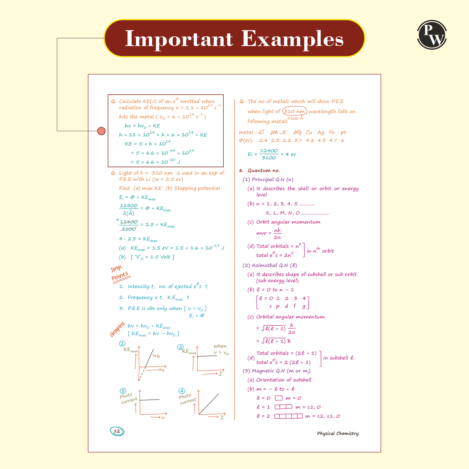 Chemistry, Physics, Botany and Zoology Med Easy Handwritten Notes Combo set of 4 Books | Notes, Formulas, Tips & Tricks for NEET/JEE & Board Exams + + 300 page unruled practice notebook