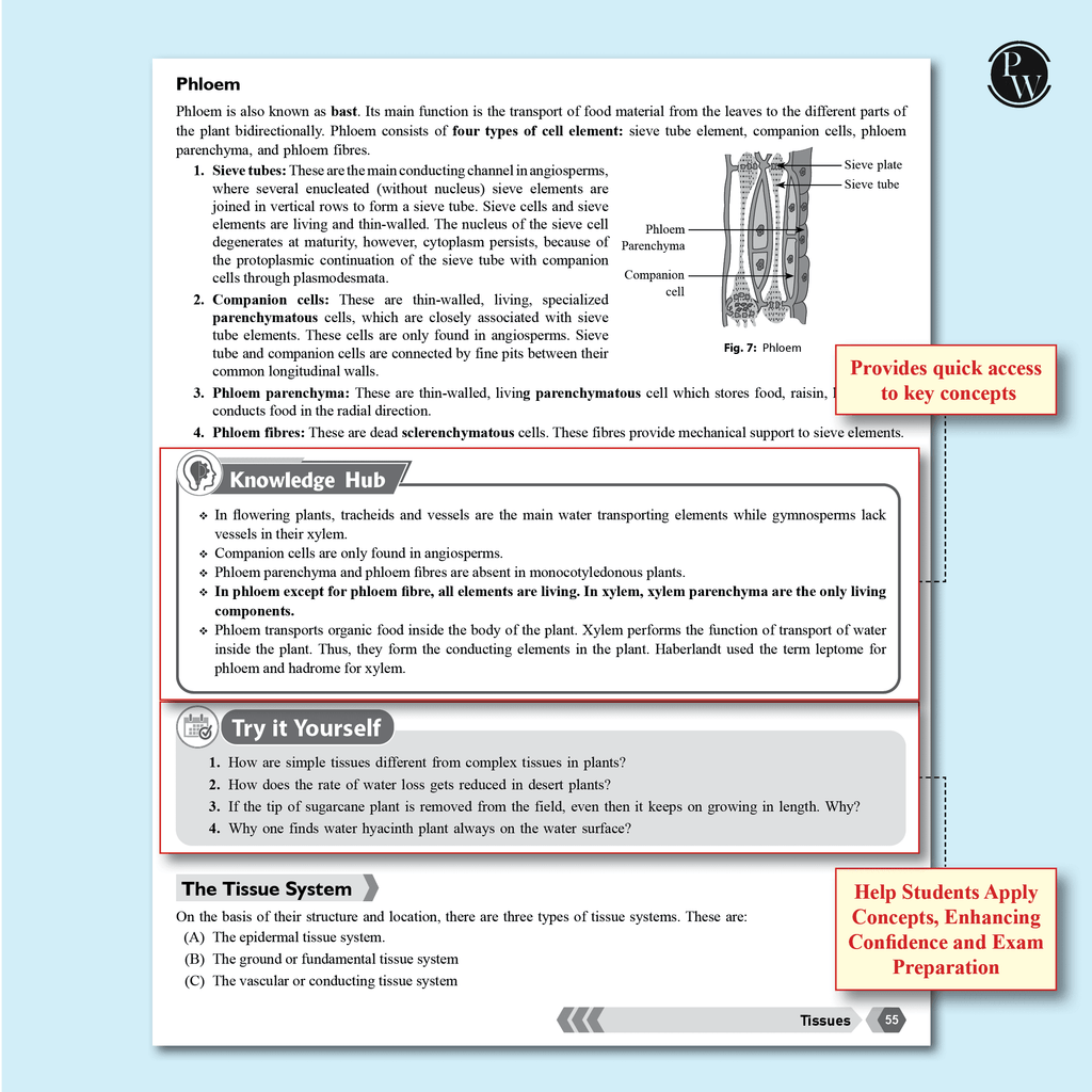 NEEV For Class 9 Physics, Chemistry, Mathematics Part A & B, Biology Combo Set of 5 Books (2025 Edition)