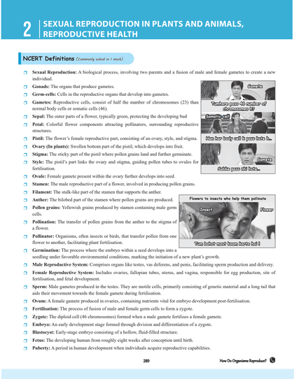CBSE Question Bank 2024 Ed Class 10