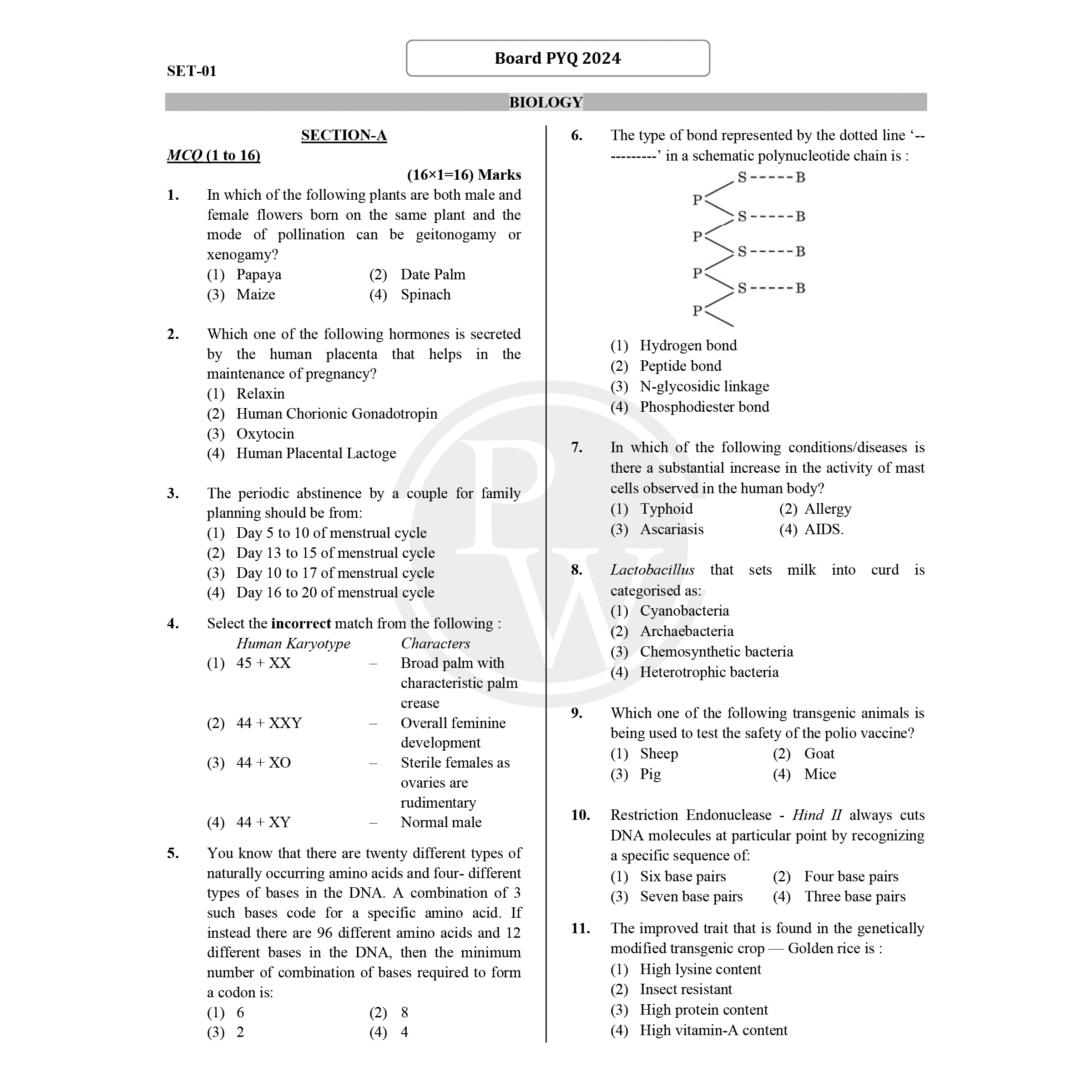 CBSE Class 12 Last 3 Years (2022 - 2024) Solved Papers For 2026 Exams | Covering Physics, Chemistry, Biology and Mathematics