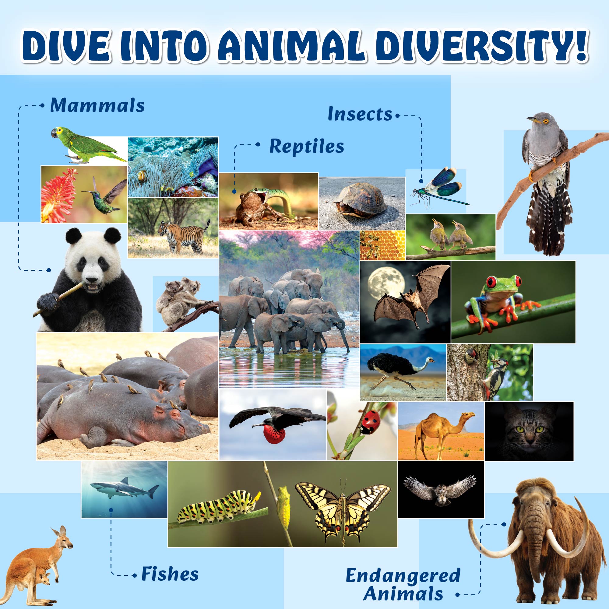 First Encyclopedia Life On Earth - Human Body, Animals, & Plants For Kids| Kids Encyclopedia Activity Book for 5-10 Years Old | Colorful Pictures and General Knowledge Book-PW Kids