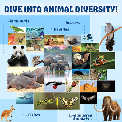 Activity books kid's