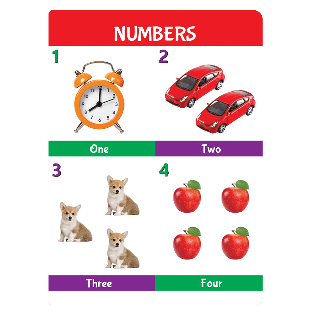 Kids First 4 in 1 Padded Board Book l Colors, Shapes, Alphabet, Numbers l Early Learning Picture Book for Children Ages 1, 2, 3, 4, 5 Years