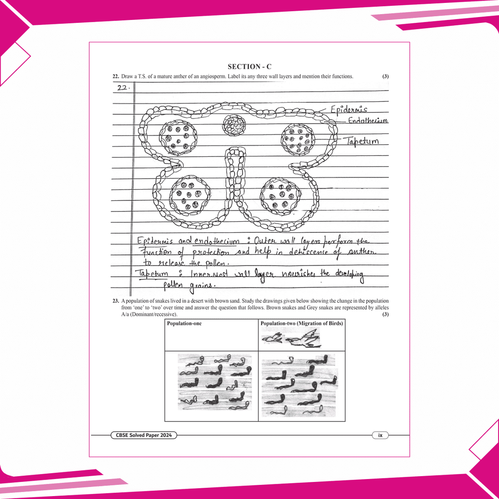 CBSE 15 Sample Question Papers Class 12 Biology for 2025 Exam | Competency-Based Learning | PYQ 2024 with Topper's Explanations, CBSE SQP & CBSE Practice Questions
