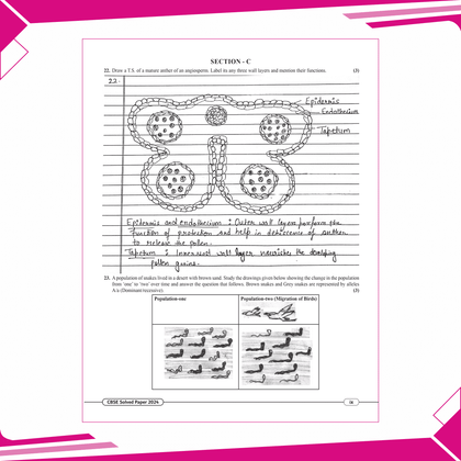 12th Sample Paper for 2025