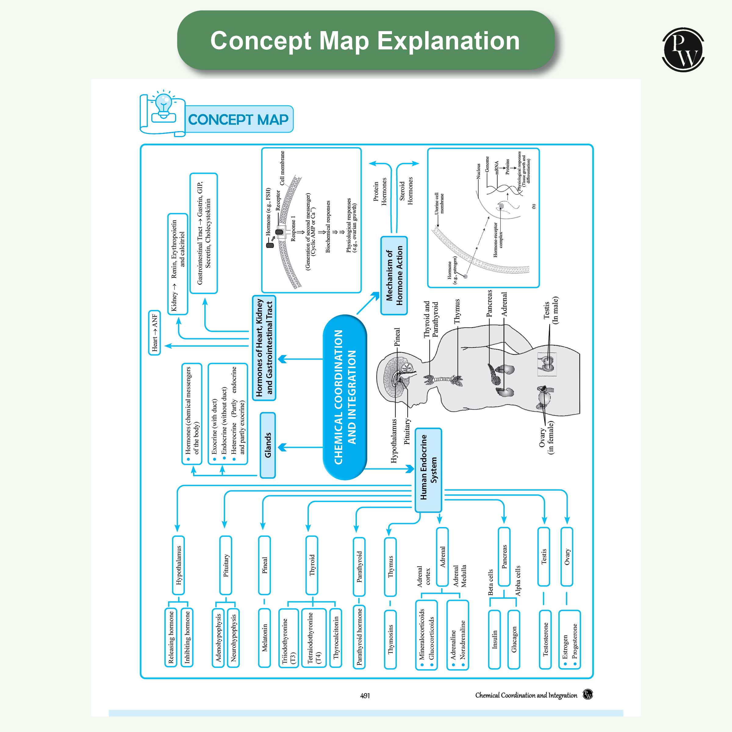 CBSE Question & Concept Bank (QCB) Class 11 Biology Chapter-wise and Topic-wise Solved Questions For 2026 Exams with Competency Based Question
