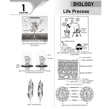 Class 10th Modules 2025