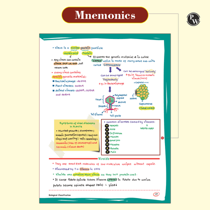 Handwritten notes