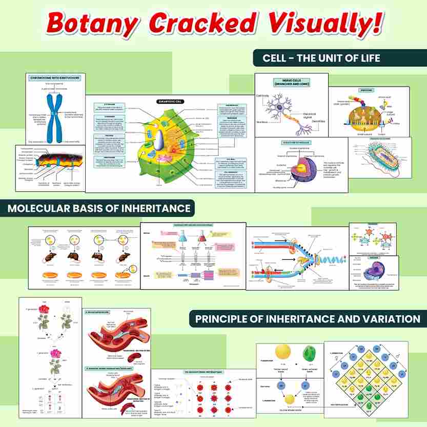 NEET BioLens Biology Through Images For 2024-25 Exams l Interactive 3D Models, Visual Representation, Practice Questions