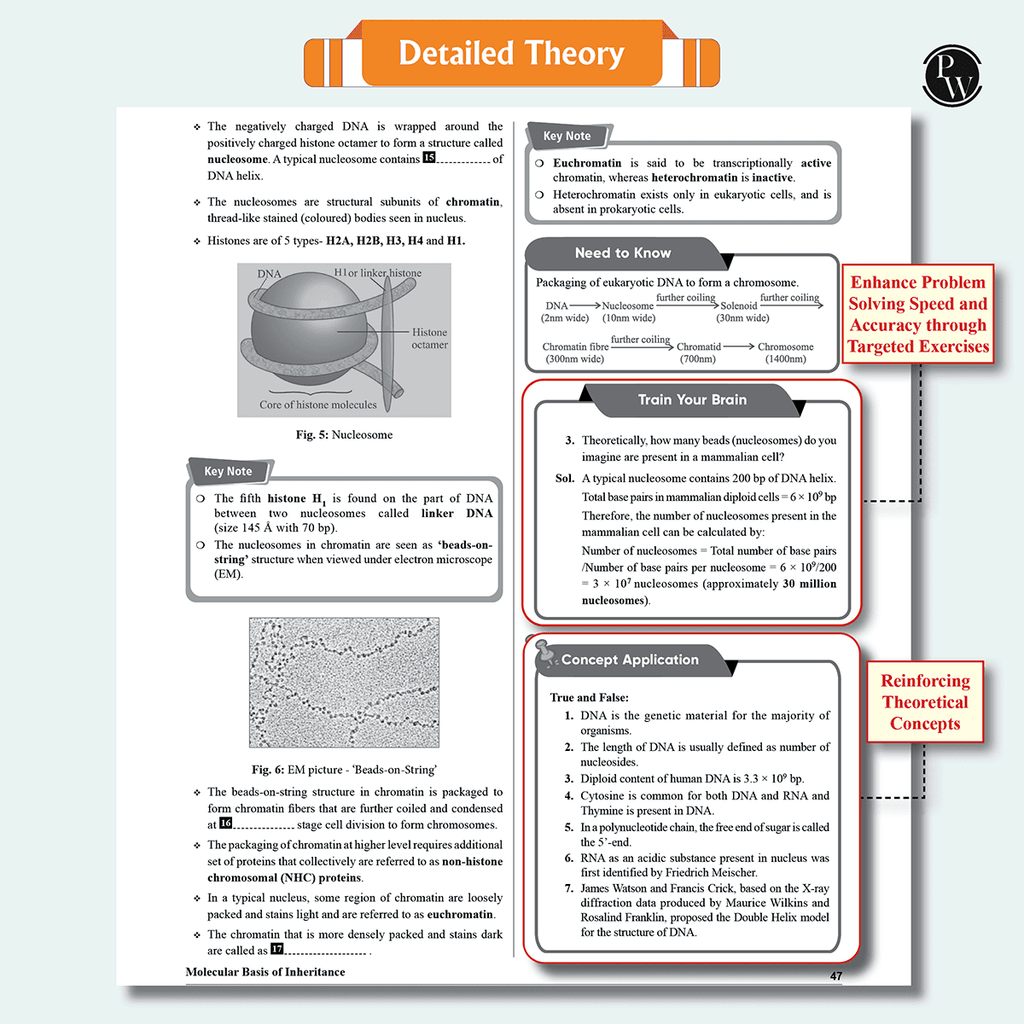 Lakshya 12 NEET Modules 2025