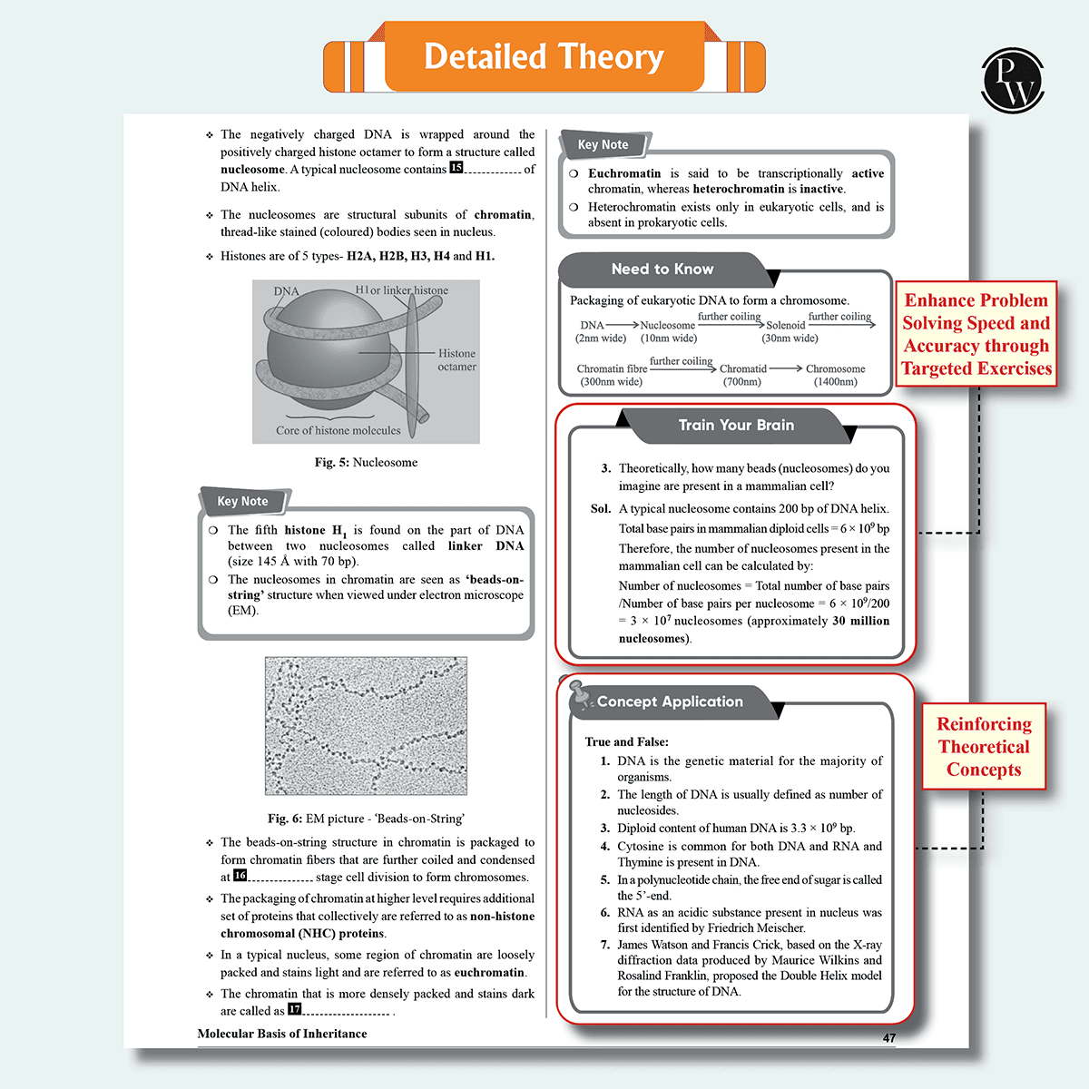 Lakshya 12 NEET Modules 2025