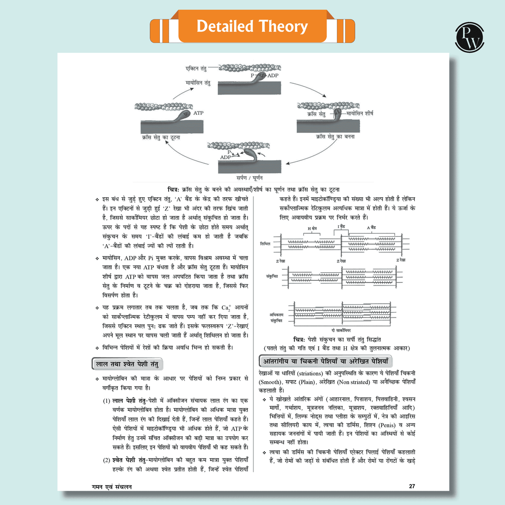 Yakeen For NEET Droppers Hindi Edition Physics, Chemistry, Botany and Zoology Modules with Solutions & 30 OMR Sheets Combo Set of 26 Books (2025 Edition)