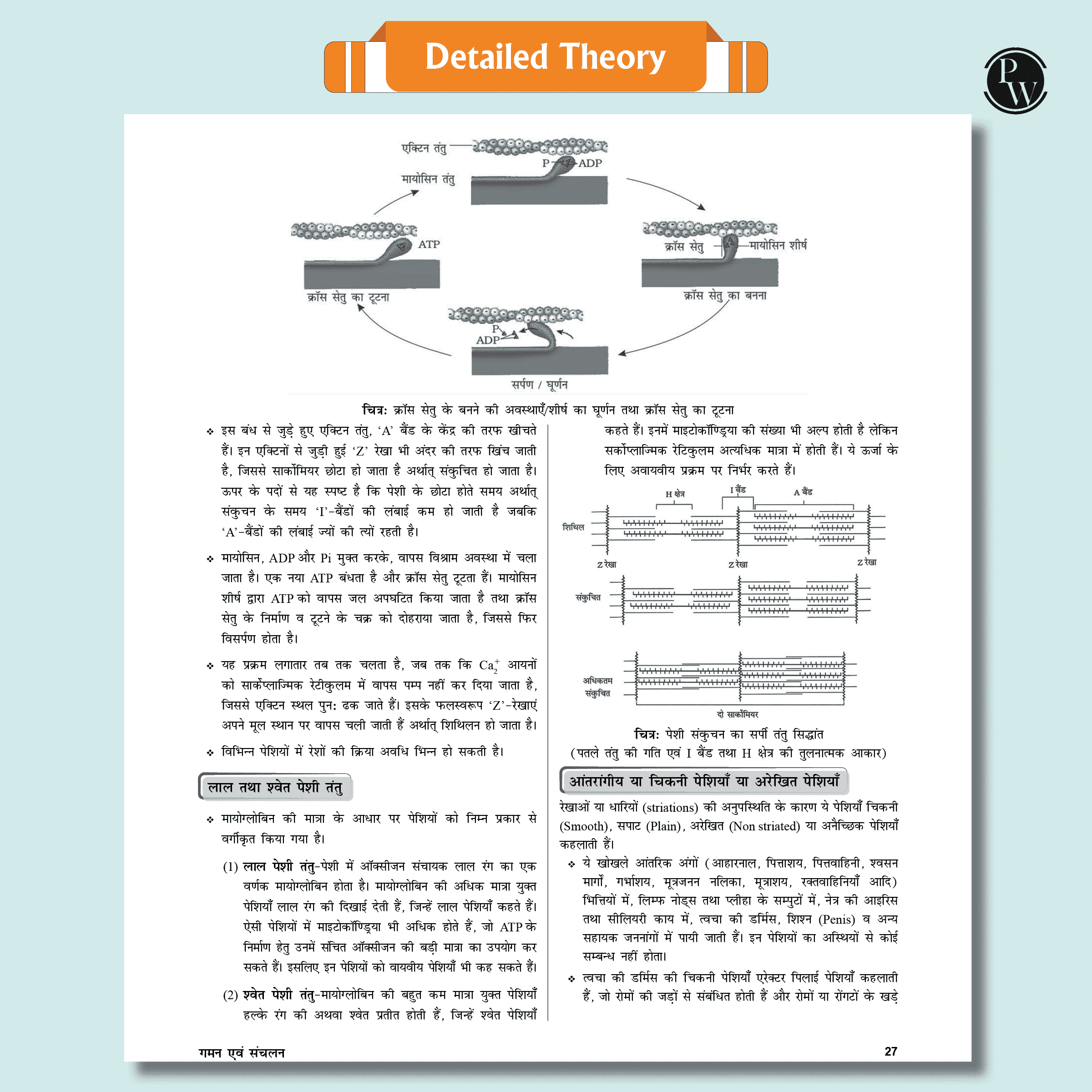 Yakeen For NEET Droppers Hindi Edition Physics, Chemistry, Botany and Zoology Modules with Solutions & 30 OMR Sheets Combo Set of 26 Books (2025 Edition)