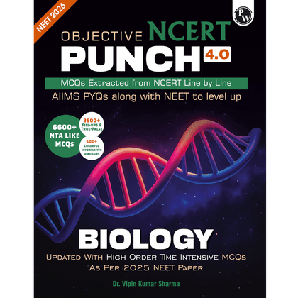 Objective Punch 2025