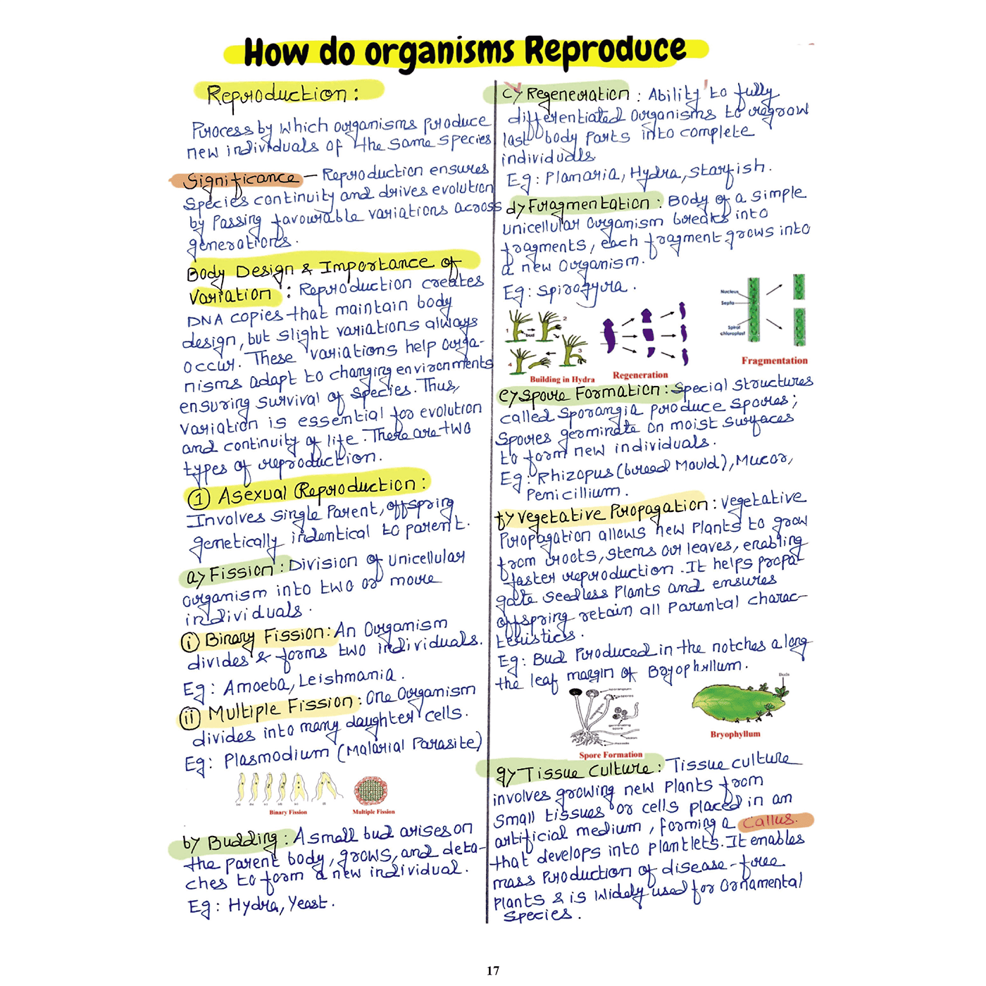 CBSE Class 10 Science Project 45 Quick Revision Notes 2025-26 | Handwritten Notes, Final Revision | Most Important Questions