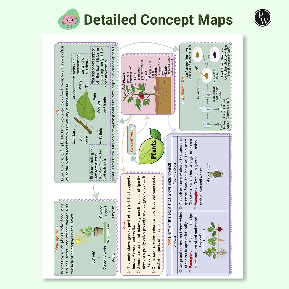Olympiad Plus Workbook For Class 4 Science and Mathematics Prepguide & PYQs Combo Set of 2 Books | NSO, ISO, iOS, Hindustan Olympiad, NSTSE, IMO, iOM, SEAMO, ISTSE and Others