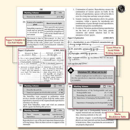 CBSE class 10 Sample paper combos
