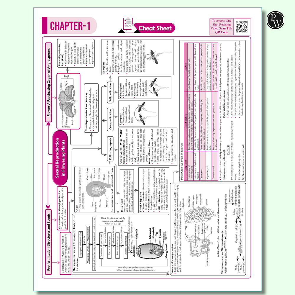 CBSE 12 Sample Question Papers Class 12 Biology For 2026 Board Exam (As Per Latest SQP Dated 30 July 2025) | 2025 Solved Paper, Mind Maps, Stepwise Marking