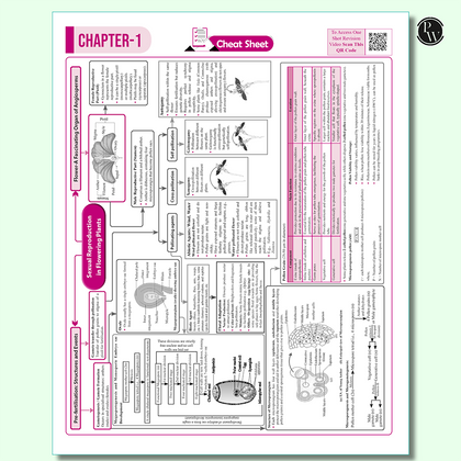 CBSE class 12th Sample papers