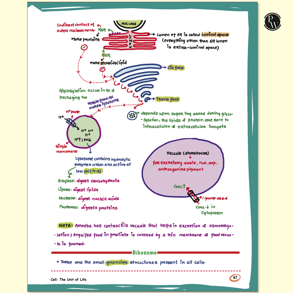 NEET Revision Books