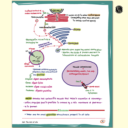 NEET Revision Books