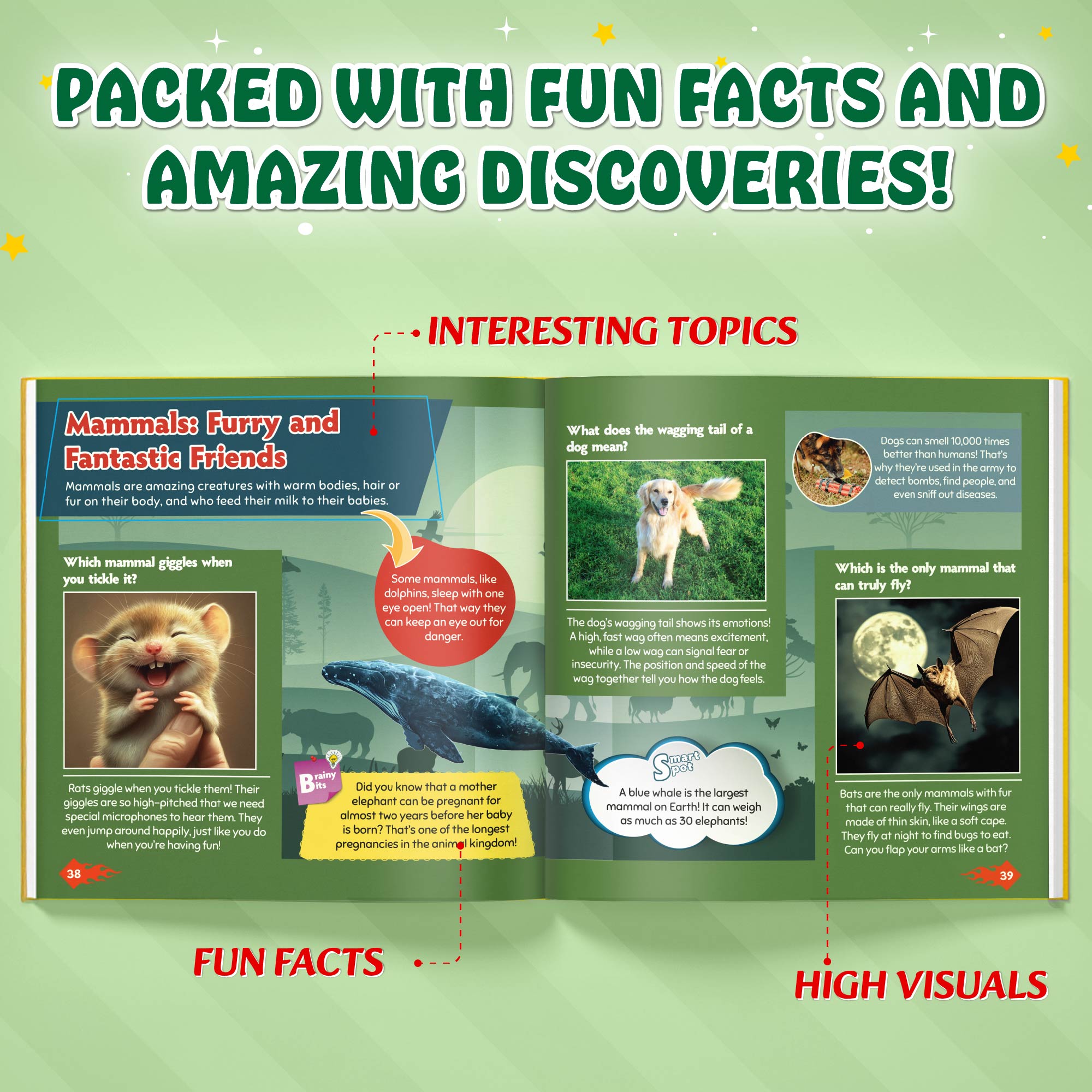 First Encyclopedia Life On Earth - Human Body, Animals, & Plants For Kids| Kids Encyclopedia Activity Book for 5-10 Years Old | Colorful Pictures and General Knowledge Book-PW Kids