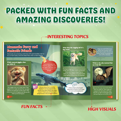 Activity books kid's