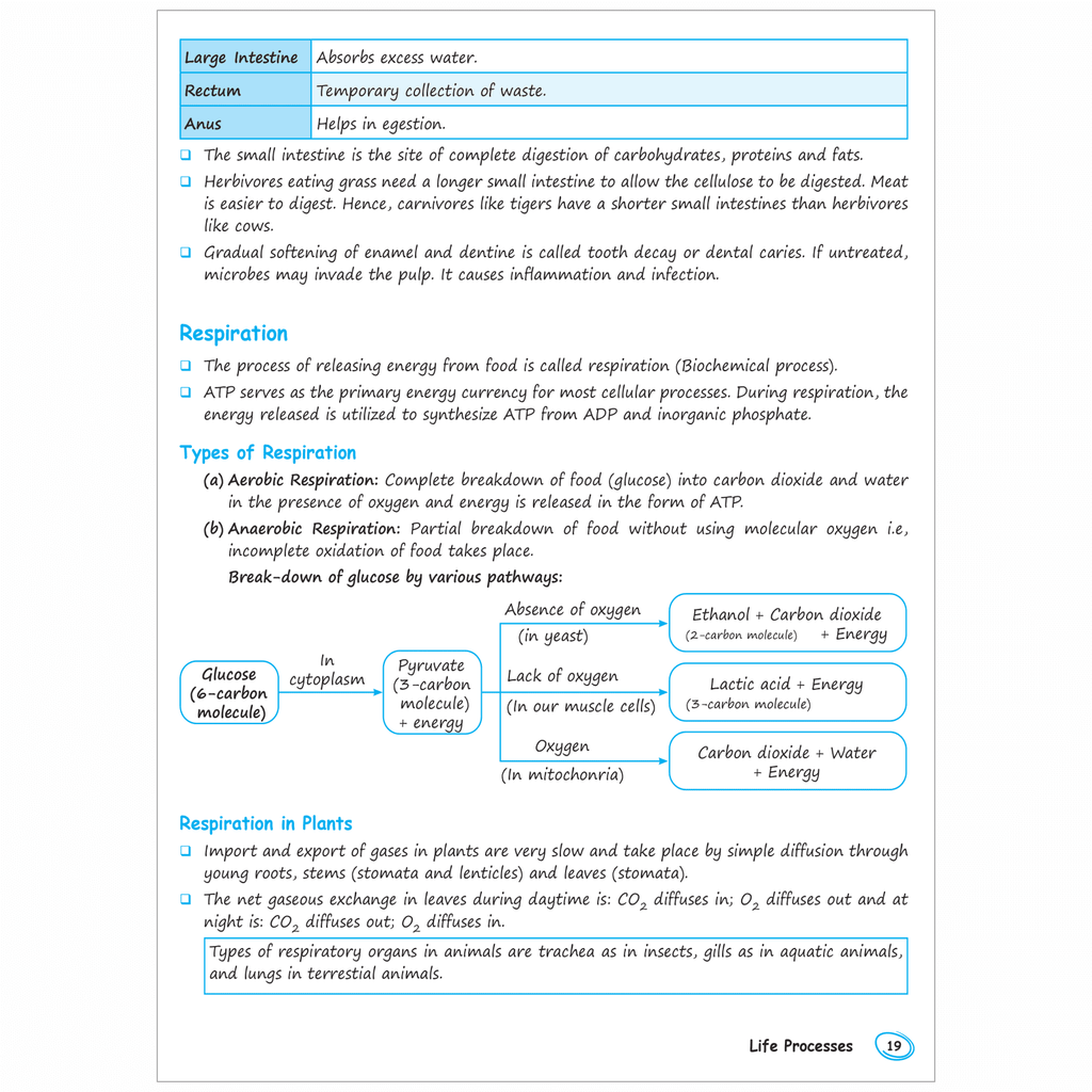 CBSE Chapterwise Class 10 Topper Handwritten Notes For 2026 Exams | Covering Science, Mathematics, Social Science and English