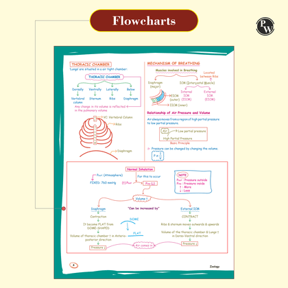 Handwritten notes