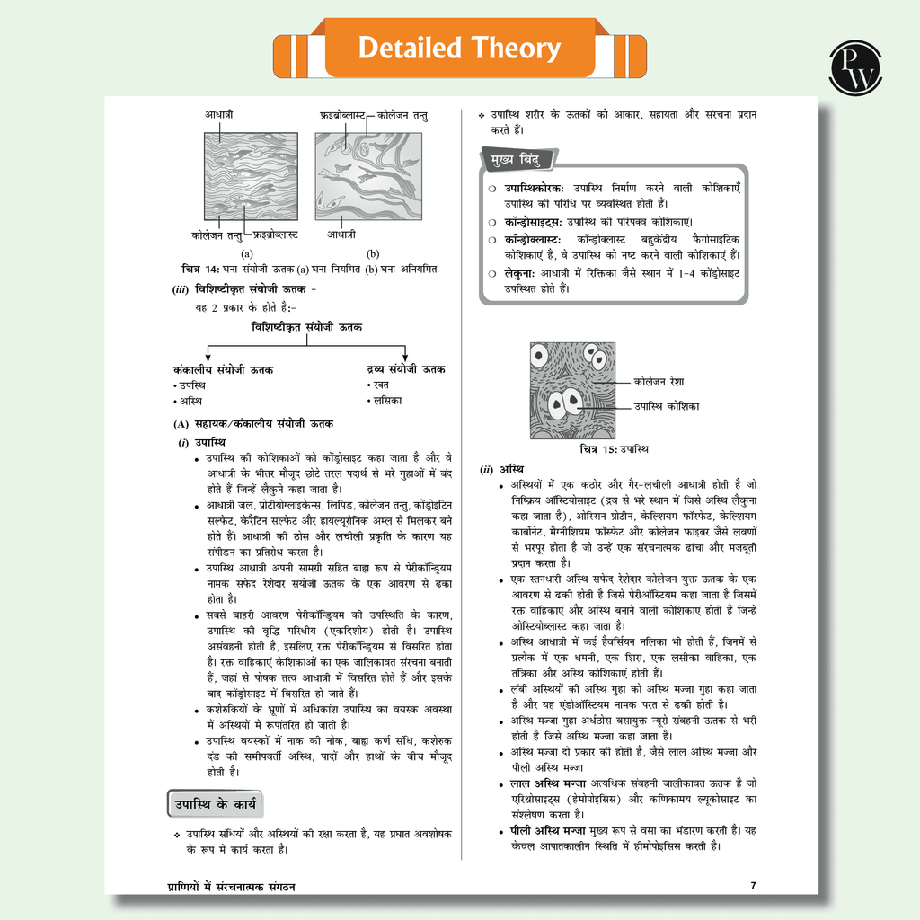 Arjuna For NEET Hindi Edition Class 11 Physics, Chemistry, Botany and Zoology Modules with Solutions & 15 OMR Sheets Combo Set of 13 Books (2025 Edition).