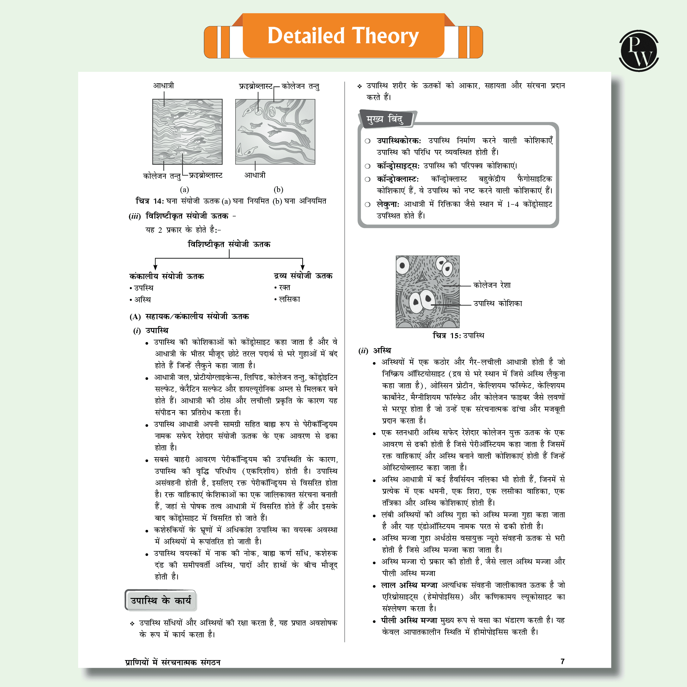 Arjuna For NEET Hindi Edition Class 11 Physics, Chemistry, Botany and Zoology Modules with Solutions & 15 OMR Sheets Combo Set of 13 Books (2025 Edition).