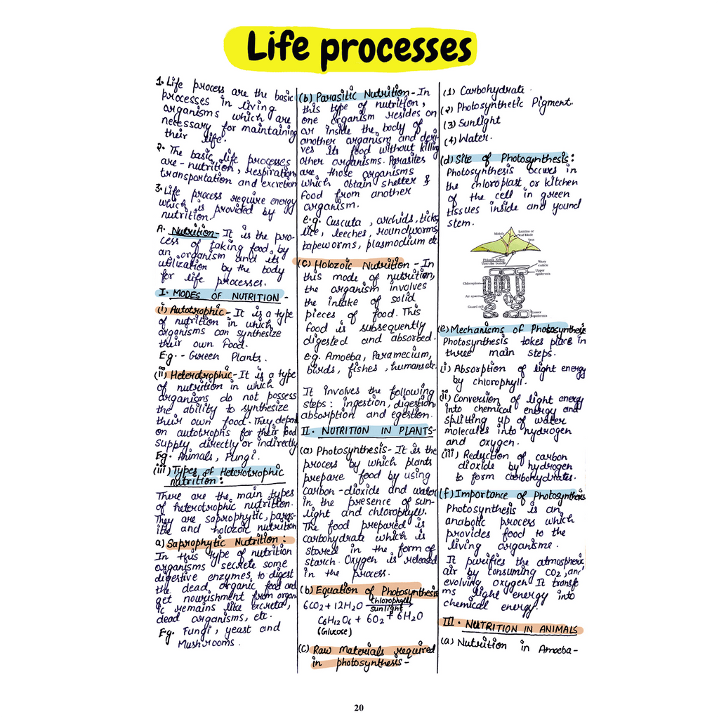 CBSE Class 10 Maths Project 45 Quick Revision Notes 2025-26 | Handwritten Notes And Formulas, Final Revision | Most Important Questions