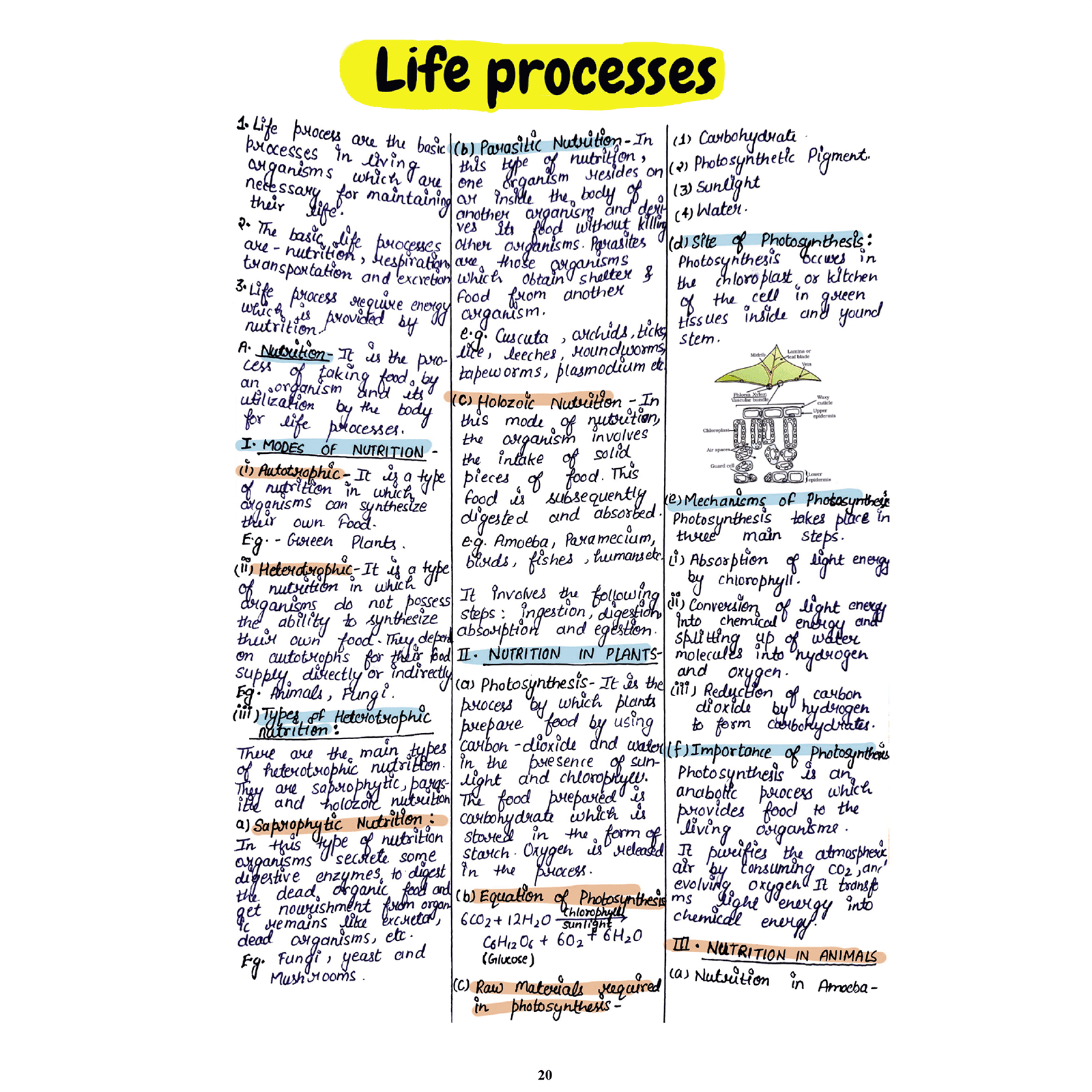 CBSE Class 10 Maths Project 45 Quick Revision Notes 2025-26 | Handwritten Notes And Formulas, Final Revision | Most Important Questions